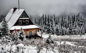 Arctic Blast 2025, Polar Vortex Brings Record-Breaking Cold to the U.S.