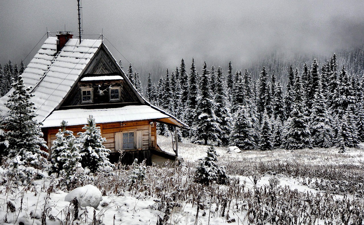 Arctic Blast 2025, Polar Vortex Brings Record-Breaking Cold to the U.S.